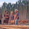 A group of Pataxó