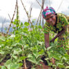 Immaculée Nyirahabimana, a farmer from Rwanda.