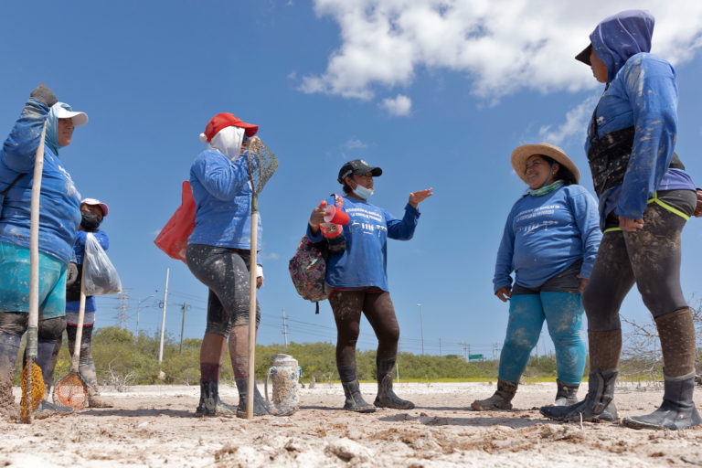 Members of Las Chelemeras consult with Keila Vazquez (in hat) before continuing their work.