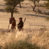 Professional hunter (left) with a hunting guest (right) in Namibia. Image by Mikael Tham via Wikidmedia Commons.
